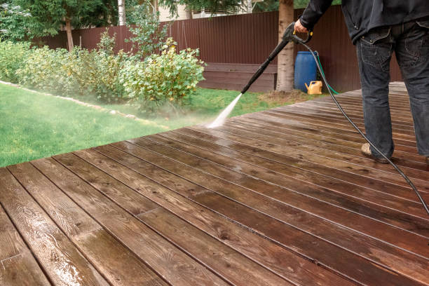 Best Driveway Pressure Washing  in Csar Chvez, TX