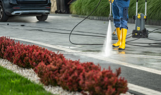 Best Gutter Cleaning  in Csar Chvez, TX